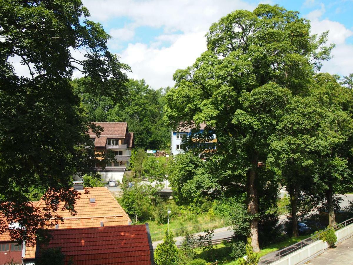 Apartment Harzgruen *
